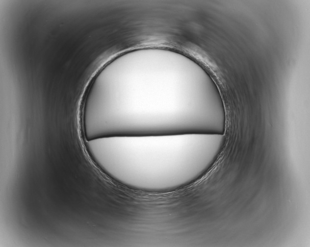 X0000098231423200804241152