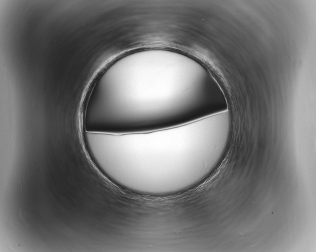 X0000098231424200804241152