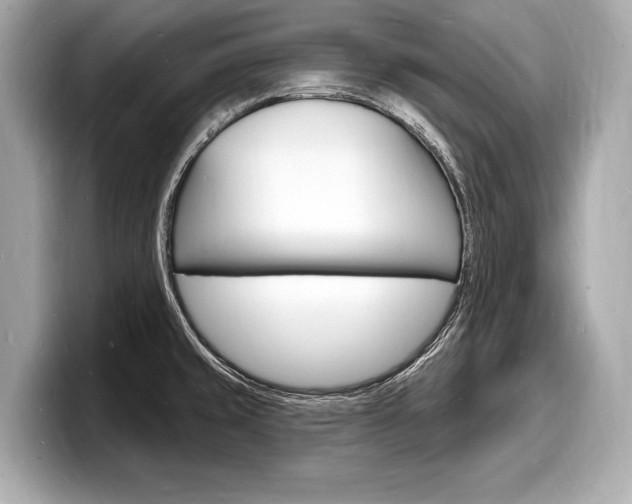 X0000098231429200804241152