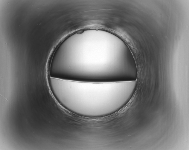 X0000098231430200804241152
