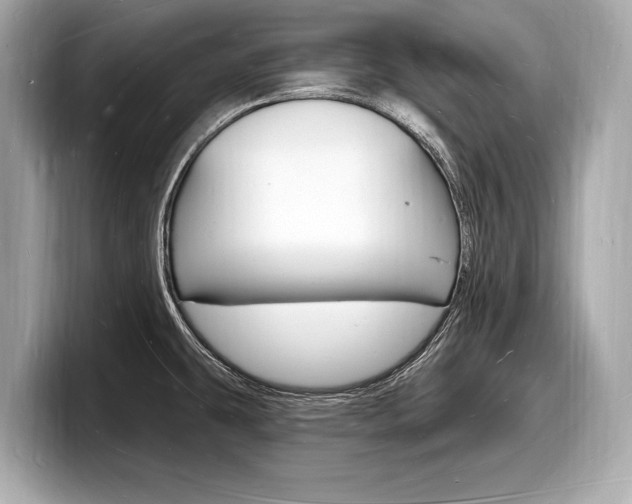 X0000098231431200804241152