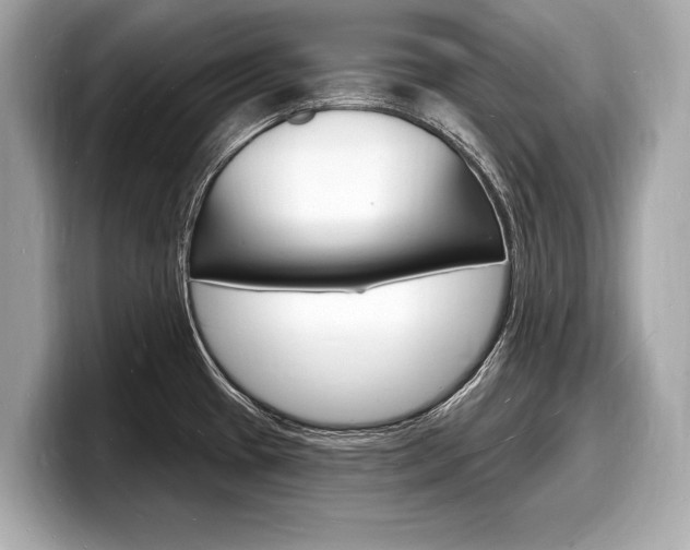 X0000098231433200804241152