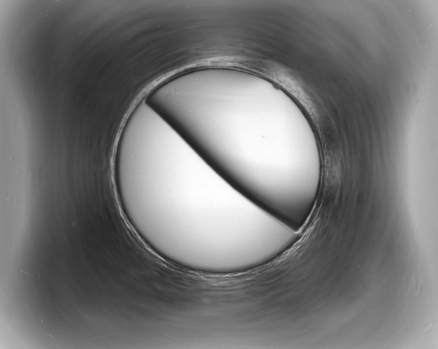 X0000098231436200804241152
