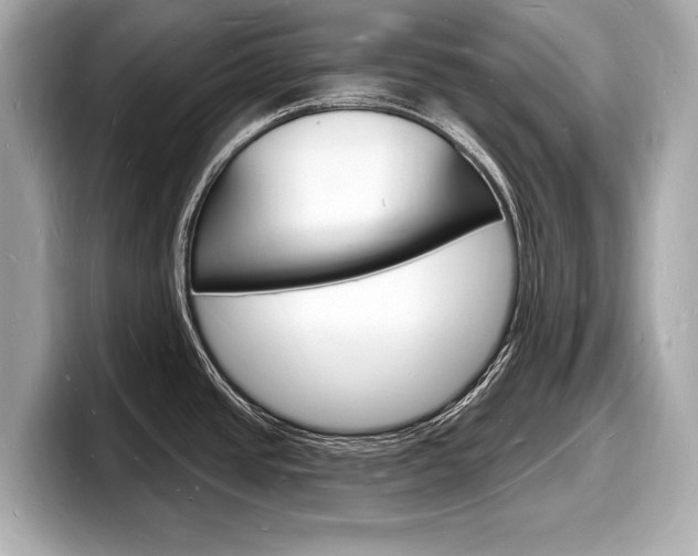 X0000098231437200804241152