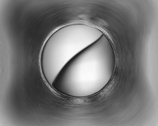 X0000098231438200804241152