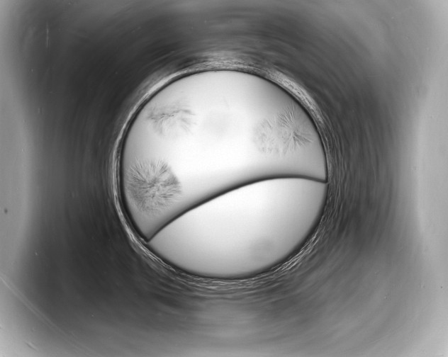 X0000098231439200804241152