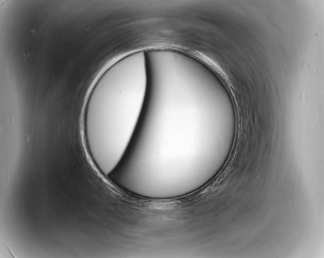 X0000098231440200804241152