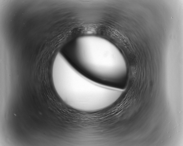 X0000098231442200804241151