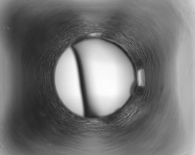 X0000098231443200804241151