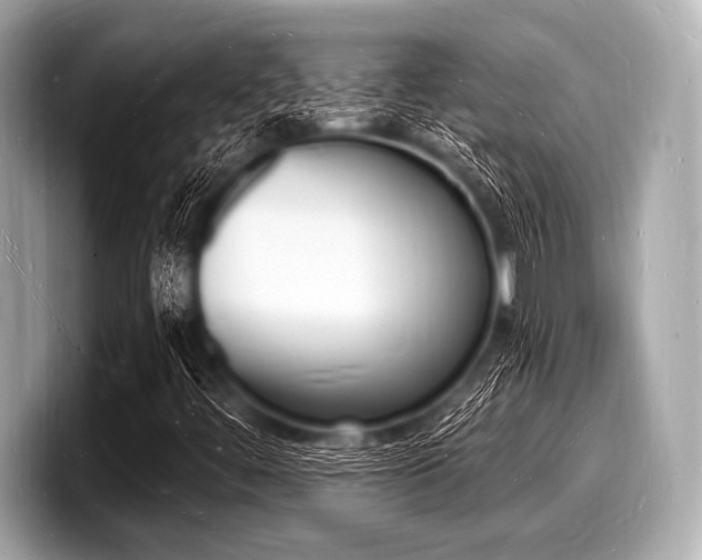 X0000098231444200804241151