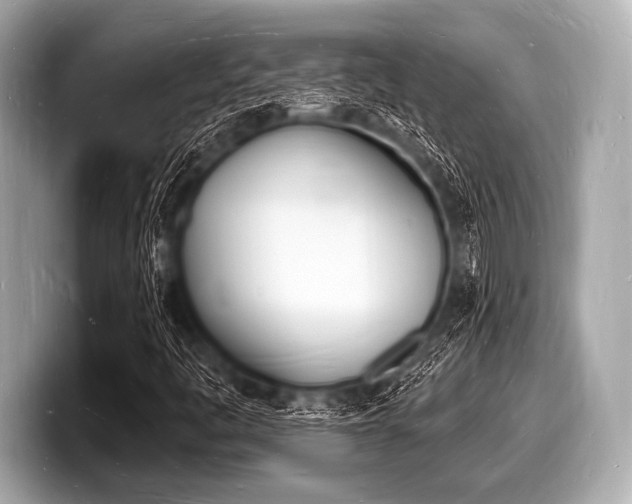 X0000098231445200804241151