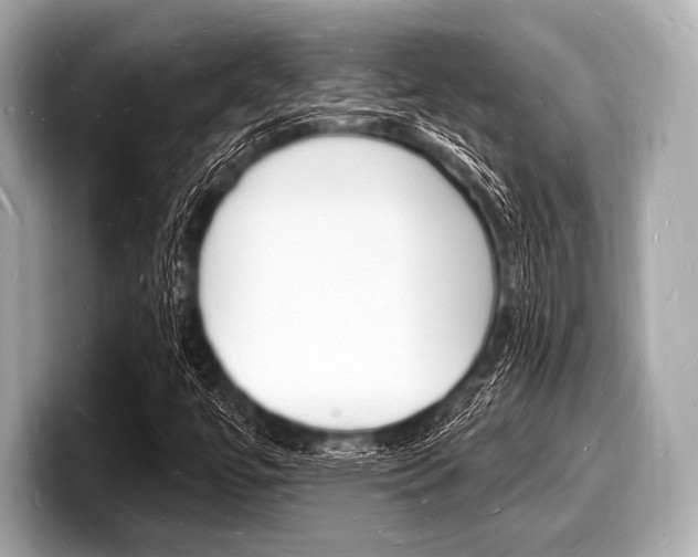 X0000098231447200804241151