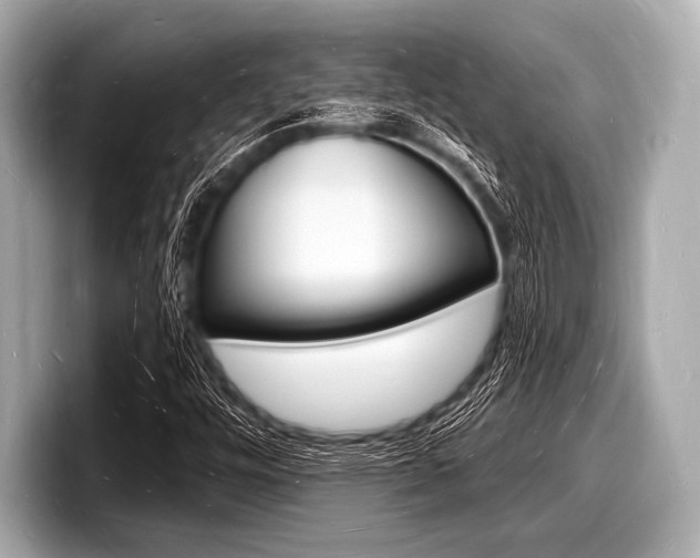 X0000098231448200804241151