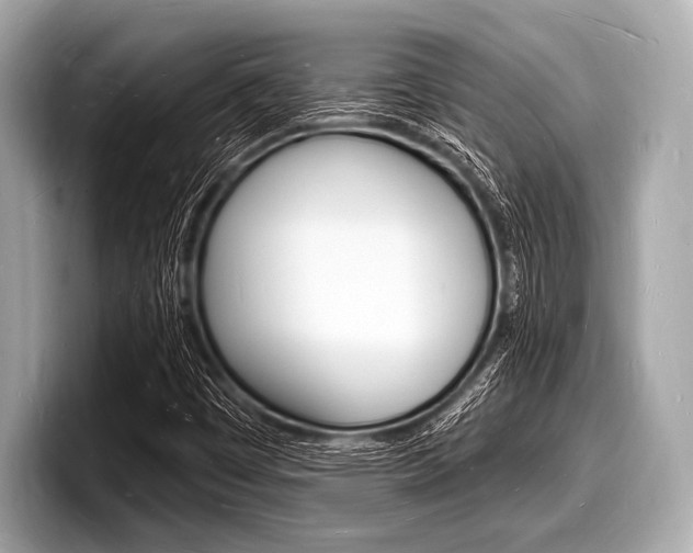 X0000098231449200804241151