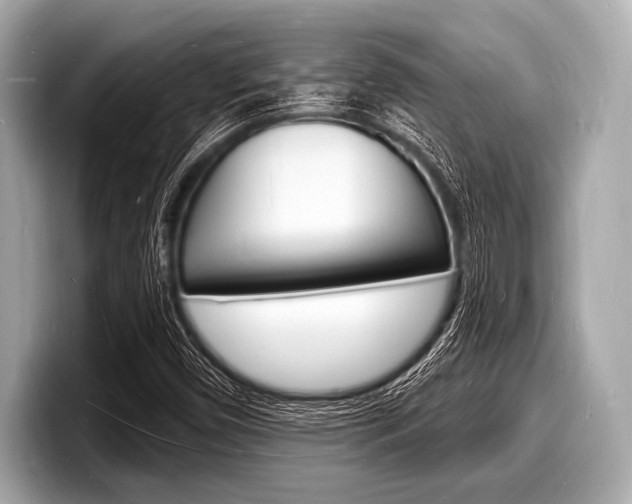 X0000098231450200804241151