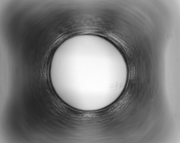 X0000098231451200804241151