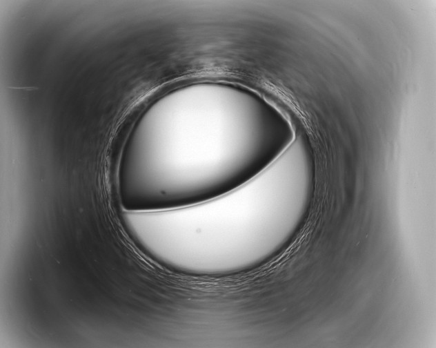 X0000098231452200804241151
