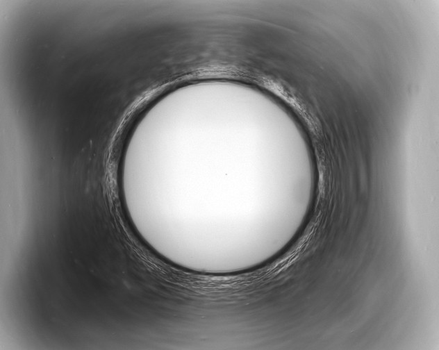 X0000098231454200804241151