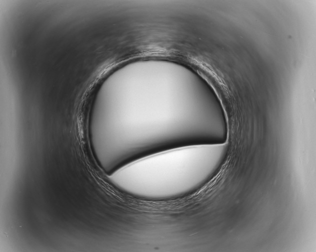 X0000098231455200804241151
