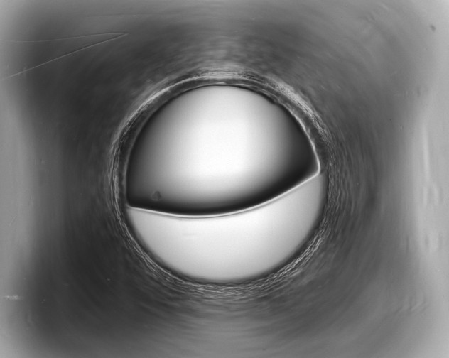 X0000098231456200804241151