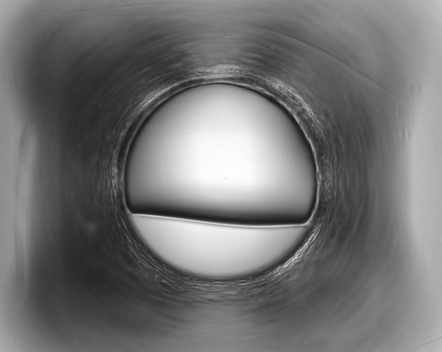 X0000098231457200804241151