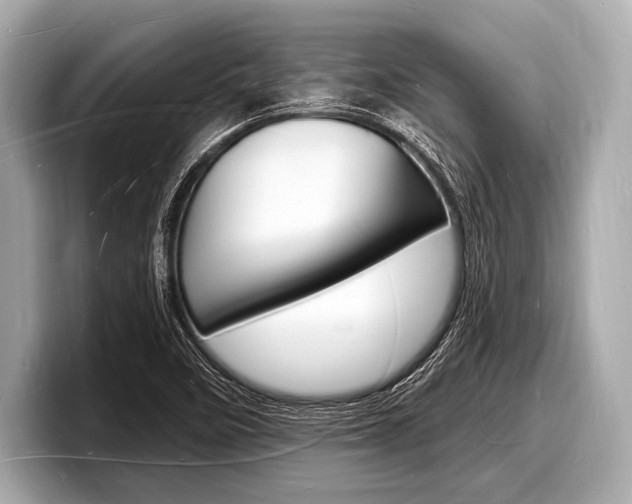 X0000098231458200804241151