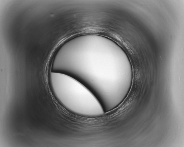 X0000098231459200804241151