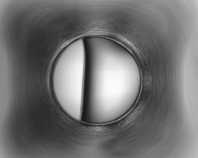 X0000098231461200804241151