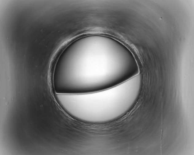 X0000098231464200804241151