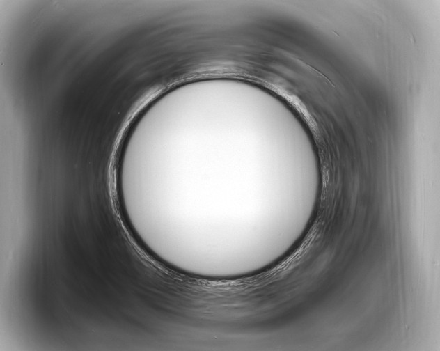 X0000098231466200804241151