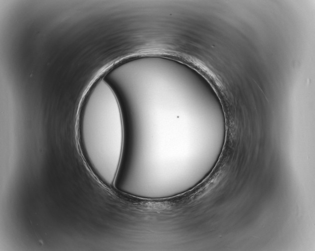 X0000098231469200804241151