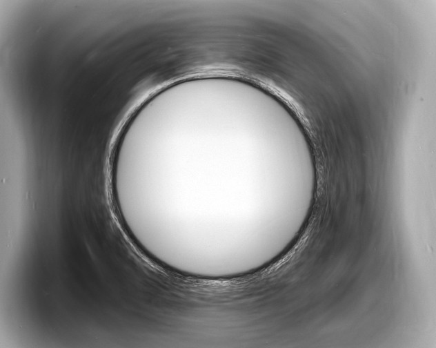 X0000098231470200804241151
