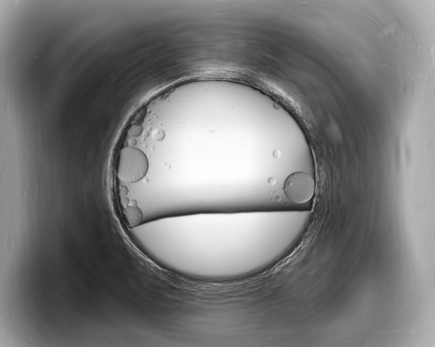 X0000098231471200804241151