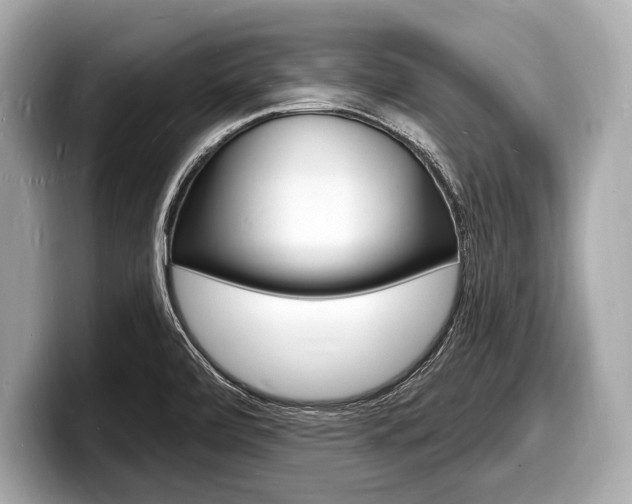 X0000098231472200804241151