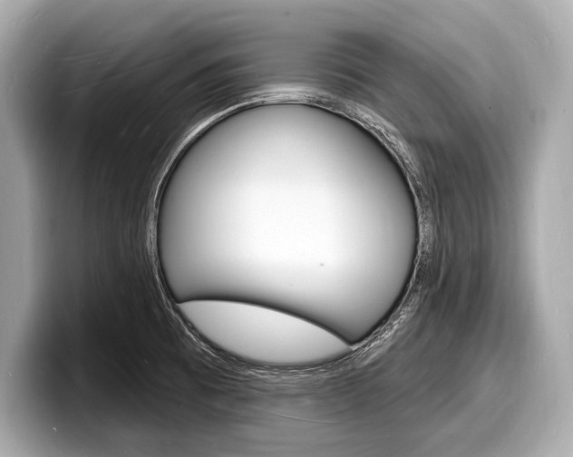 X0000098231473200804241151