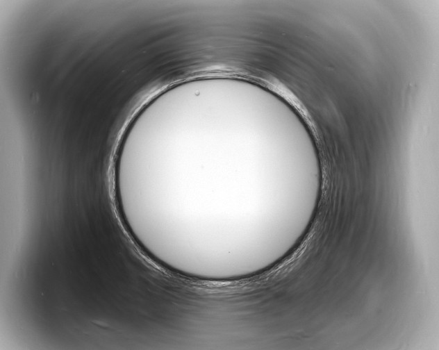 X0000098231474200804241151