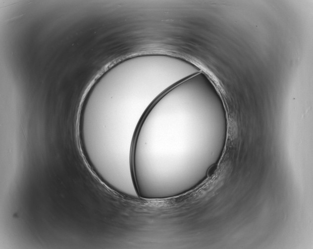 X0000098231477200804241151
