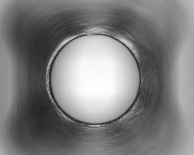 X0000098231478200804241151