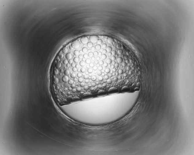X0000098231479200804241151