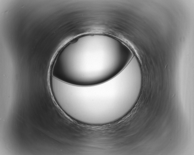 X0000098231480200804241151