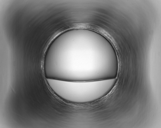 X0000098231481200804241151