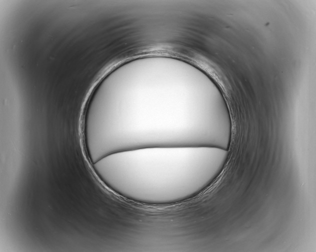 X0000098231482200804241151
