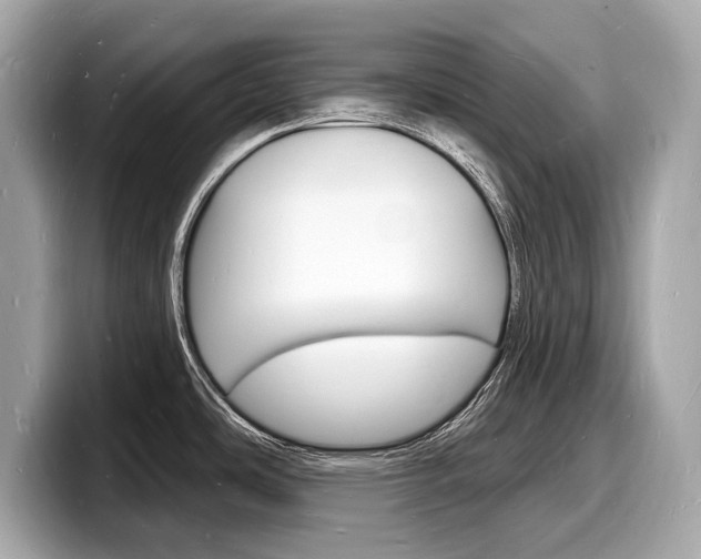 X0000098231486200804241151