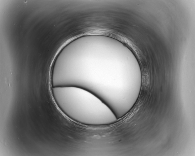 X0000098231487200804241151