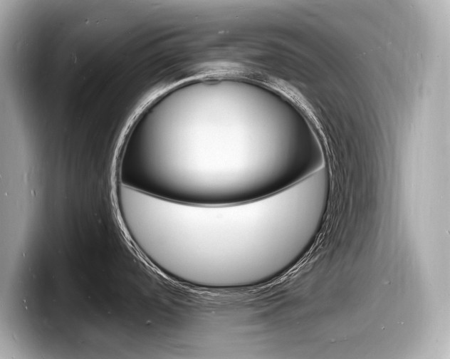 X0000098231488200804241151