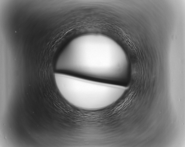 X0000098231490200804241150