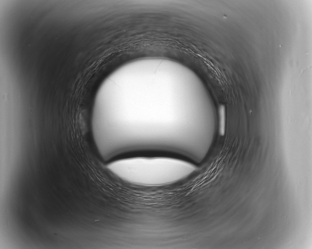 X0000098231491200804241150