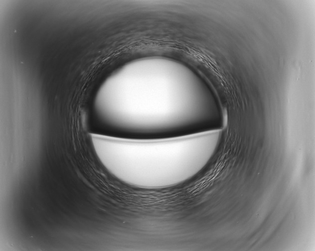 X0000098231492200804241150