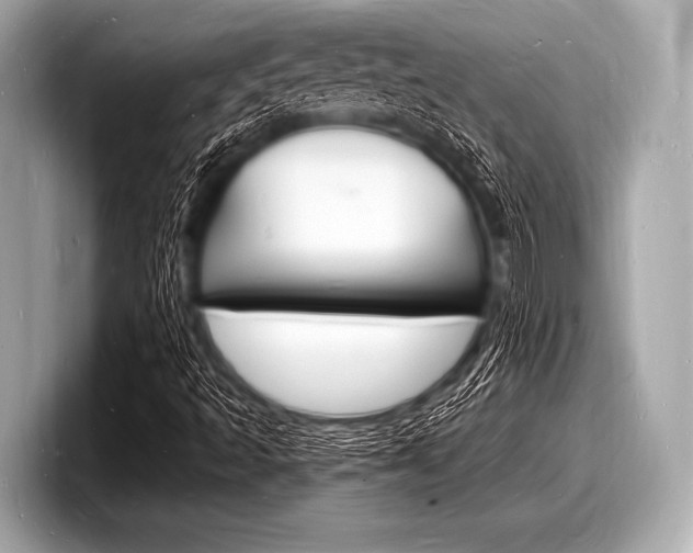 X0000098231493200804241150