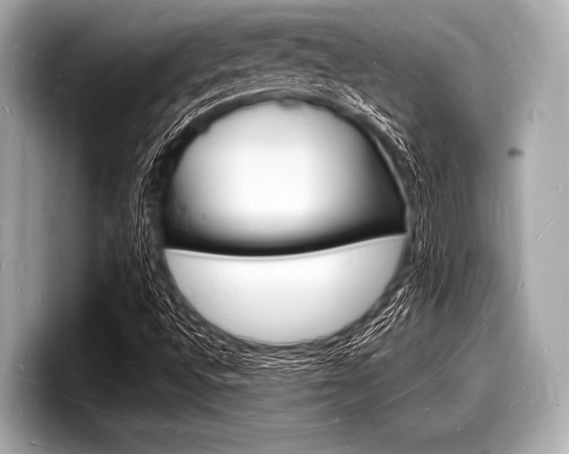X0000098231496200804241150